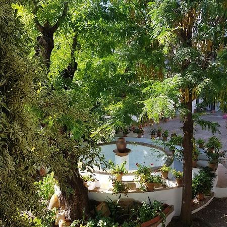 Patio Andaluz Siglo XVI Apartment Sevilla Exterior foto